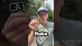 My Top 3 Bass Lures Of All Time! #fishing #lure #bass #outdoors