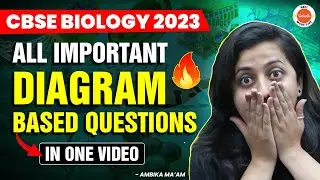 BIOLOGY CBSE Board Exam 2023🔥- All Important DIAGRAM Based Questions in One Shot | CBSE 2023