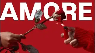 VIBE DEALERS -AMORE (Officiel Lyrics video)