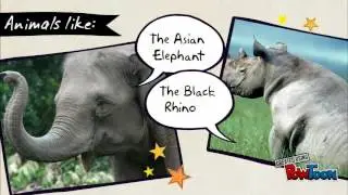 Habitat loss and endangered animals for kids