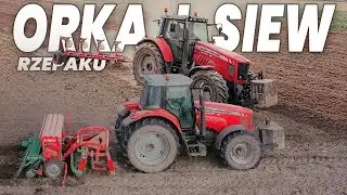 Orka oraz siew rzepaku 2023✓Massey Ferguson 6490 dyna 6✓Mccormick c95 max✓Koja✓Agro-Masz Sr-300✓Unia
