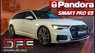 Audi A6 C8 KEYLESS Absicherung durch Pandora Smart Pro