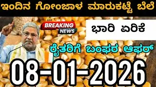 Today Maize Seeds Market Rate | ಇಂದಿನ ಗೋಂಜಾಳ ಮಾರುಕಟ್ಟೆ ಬೆಲೆ #maize #maizeseeds #marketing #rate 