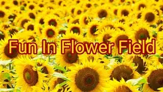 Fun In Flower Field