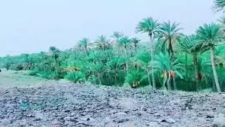 Mashkai, Balochistan