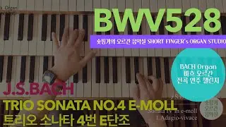 [JS BACH ORGAN] BWV 528 Trio Sonata No.4 e-moll 트리오 소나타 4번 E단조 /Hauptwerk6 /Obervellach