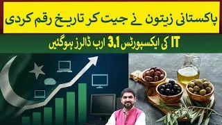 Pakistani Olive Oil Makes History at World Competition  | Rich Pakistan
