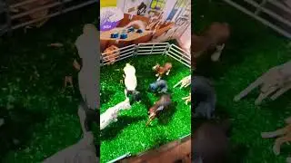 Schleich horse short video😁 #song #disney