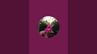 Decor and Garden with Afsana  is live