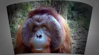 Visit Perak 2017 - World of Wonders