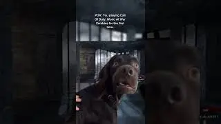 POV: Playing COD Zombies for the first time #cod #callofduty #zombies #codzombiesshort #cod