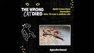 Ep83 - Linus Karp, Comedian, How To Live A Jellicle Life, Life Lessons From the 2019 Hit Movie CATS