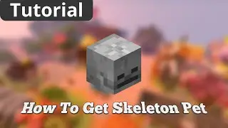 How To Get SKELETON Pet in Hypixel Skyblock