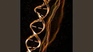 Helix Dance of the Soul