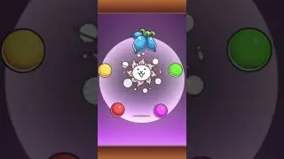 My first rare cat true form
