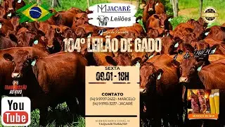 104° LEILÃO DE GADO - 09/01/2026 - ML JACARÉ LEILÕES - TAQUARITUBA/SP #agro #aovivo #pecuaria