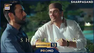 SharPasand | PROMO | Upcoming Episode 13 | Naumaan Ijaz | Affan Waheed | ARY Digital Drama