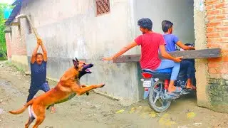 Funniest Fun Amazing videos must Entertainment comedy episode 09 Bindas funny xyz
