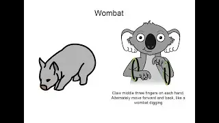 George VI Memorial Park Communication Board Key Word Sign tutorial - Wombat