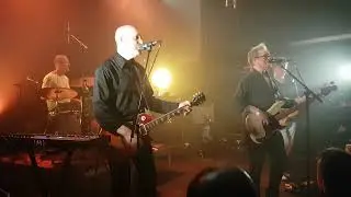 Swell live by Cathimini (David Freel Tribute Tour)