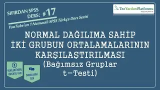 Sıfırdan SPSS Ders 17: Normal Dağılıma Sahip İki Grubun Ortalamalarının Karşılaştırılması (t Testi)