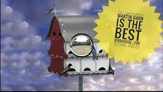 The S&K Purple Martin Barn Is The Best Birdhouse...For Starlings!