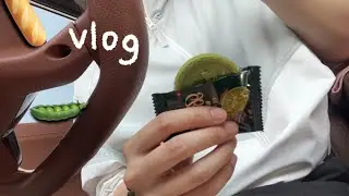 vlog | 2키로 빼고 신상 과자 찾아다니는 다이어터 | 성심당 요거트롤 | 집밥 식단 | 맥세이프 카드지갑, 차량용 거치대