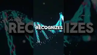 MICROORGANISMS#bacteria#life#microlife#living matters#facts#YTvideos#YT#microbiology#knowledge