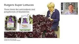 8 Plant based functional foods Ilya Raskin 11 2020 720p