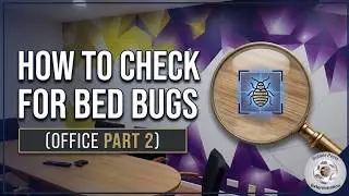 How To Check For Bed Bugs (Office Part 2)