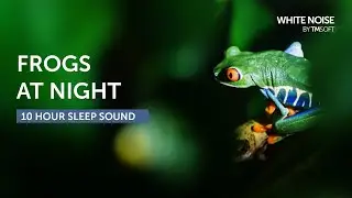 Frogs at Night - 10 Hours Sleep Sound - Black Screen