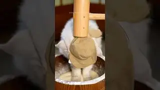 When Cats Try Mochi Making | Hi Yoi Yoi | Funny Cat 🍡 MerMeow One Job a Day #mochi #viralvideo #cat