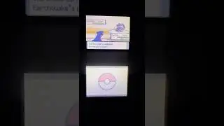 Pokemon Diamond Pearl Battle Tower 182nd win
