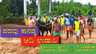 Padavu Kanadka & Adi Udupi Kambula Kudhi @ Miyaar