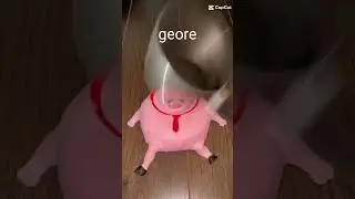 what everyone does to geore