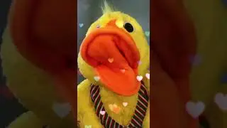 Teach Feelings with Disco Duck's Rap! #duck #itsoknottobeok  #eyfslearning #feelings