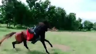 Prasanna Kumar horse Riding stunt