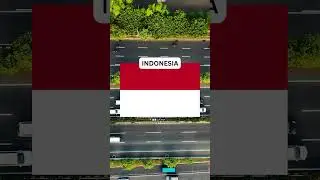 What is the Most Common Car in INDONESIA #indonesia #cars #country #common #pickup #driving #racing