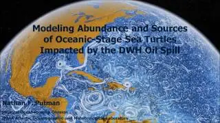 The Deepwater Horizon oil spill & sea turtle distribution