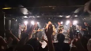 Bad Manners - Can't Take My Eyes Off You @Tokyo 2024.09.23.