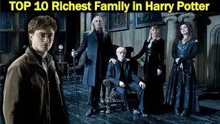 Top 10 Richest Families in Harry Potter | Explained in Hindi