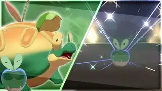 [LIVE] Shiny Applin after 8,843 REs in Shield! + Evolution [Full Odds]