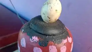 21 ദിവസം കഴിഞ്ഞിട്ടും വിരിയാത്ത മുട്ട വിരിയിക്കാൻ ഇനി വളരെ സിംപിളാണ്. .....#incubatormalayalam