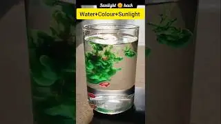 Water colour trend | expectations v/s Reality✨#trending#turmericpowder#shorts#water#satisfying