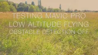 Mavic Pro Low Altitude - Obstacle Detection off