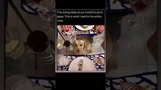 Isn't it cute ? #viralvideo #trending #comedy #funny #prank #laugh #song #motivation #love #romantic