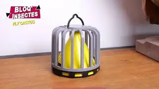 Piège à insectes volants pour l'intérieur Fly Cactus