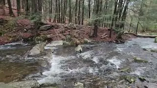Tricky water crossing to Sages Ravine Campsites