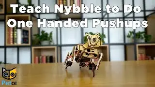 Teach Nybble Robot Cat One-Handed Push-Ups | Beginner's Guide to Quadruped Robotics | Petoi