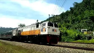 Menemukan Banyak Kereta Api Melintas Di JPL Kaliwangi Rawalo 